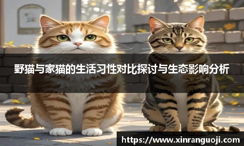 关键词4